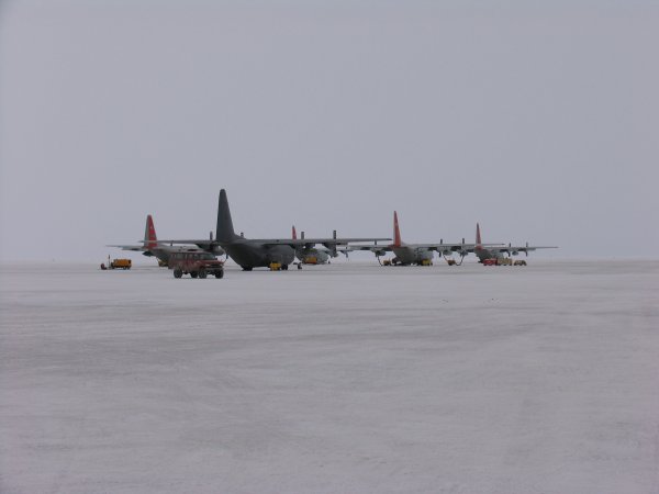 A group of LC 130s