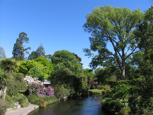  Botonical Gardens in Christchurch 