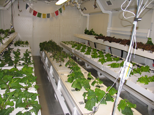 South Pole hydroponics